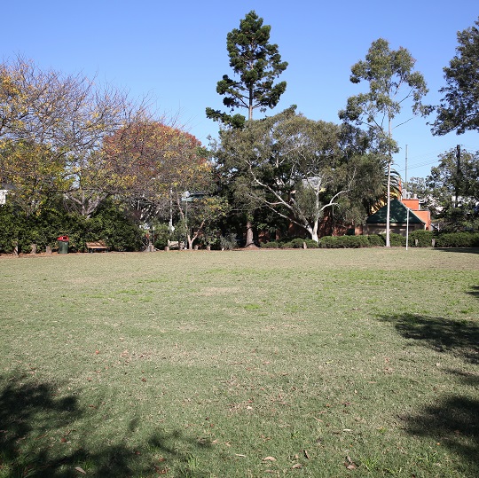 Ann Cashman park view